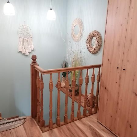 Apartament Kot I Pies 米兹多洛杰 外观 照片