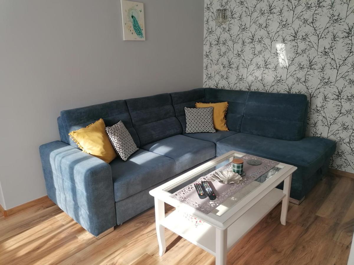 Apartament Kot I Pies 米兹多洛杰 外观 照片