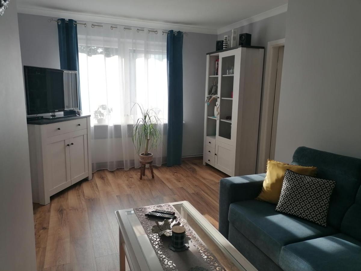 Apartament Kot I Pies 米兹多洛杰 外观 照片