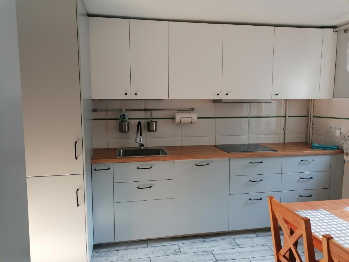 Apartament Kot I Pies 米兹多洛杰 外观 照片