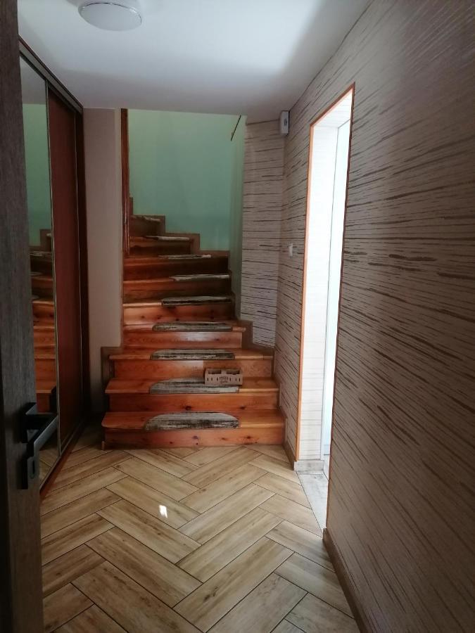 Apartament Kot I Pies 米兹多洛杰 外观 照片