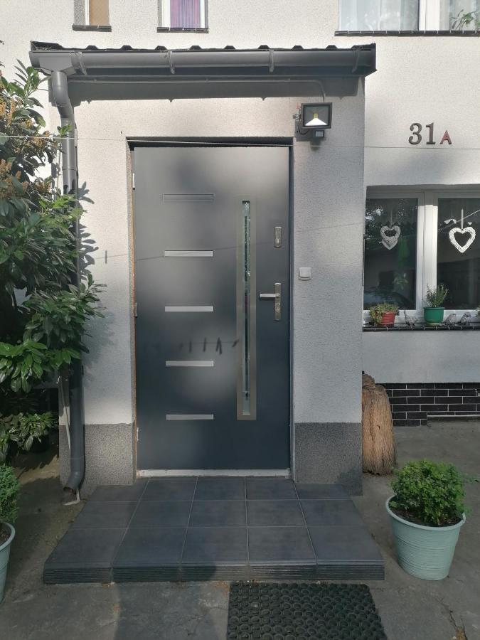 Apartament Kot I Pies 米兹多洛杰 外观 照片