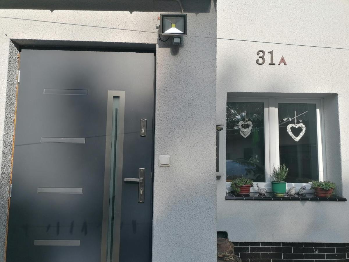 Apartament Kot I Pies 米兹多洛杰 外观 照片
