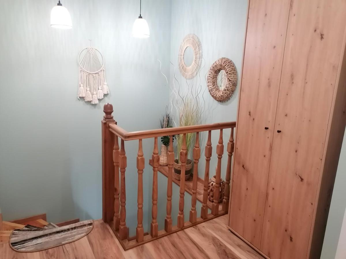 Apartament Kot I Pies 米兹多洛杰 外观 照片