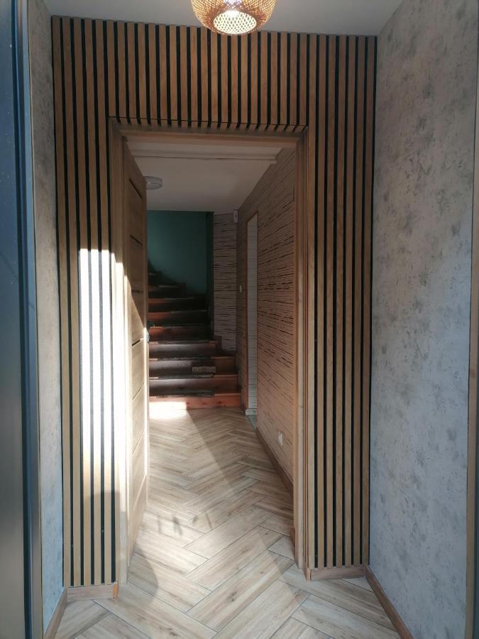 Apartament Kot I Pies 米兹多洛杰 外观 照片