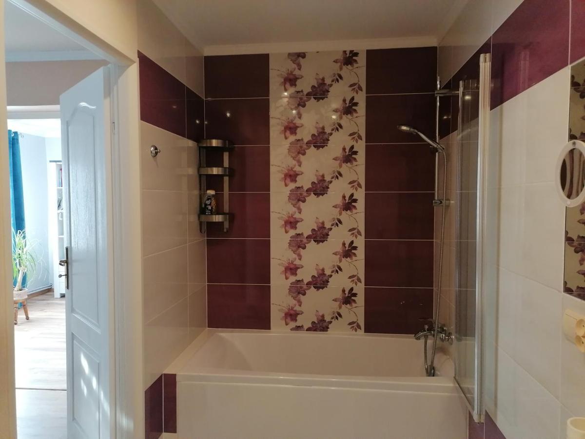 Apartament Kot I Pies 米兹多洛杰 外观 照片
