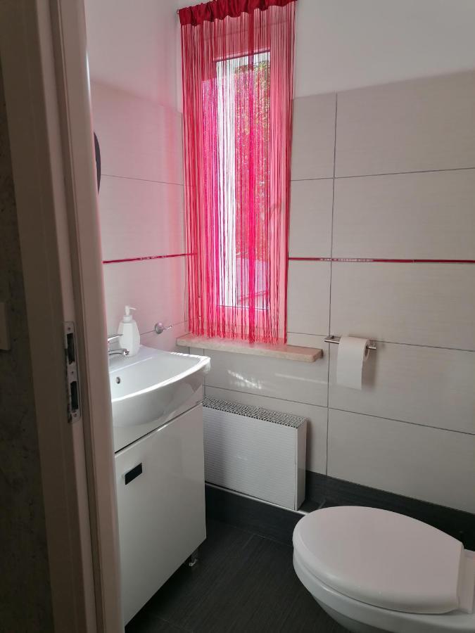 Apartament Kot I Pies 米兹多洛杰 外观 照片